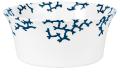 Chinese salad bowl - Raynaud